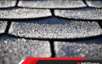 Top 5 Reasons Why Asphalt Shingles Go Bald