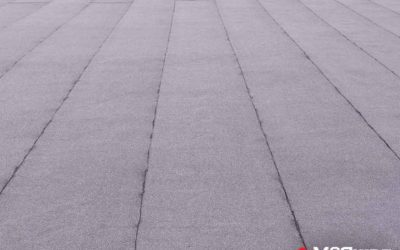 Tips for Managing Bird Damage to Commercial Roofs
