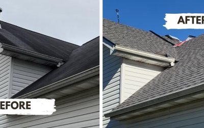 Why Asphalt Shingles Are Still the Smartest Choice for Your Roof in 2026