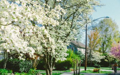 Is Your Roof Ready for April Showers? A Homeowner’s Guide to Spring Storm Protection