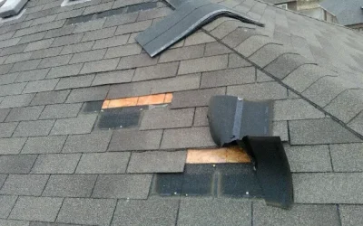 What to Do When You Find a Missing Shingle on the Ground After a Storm