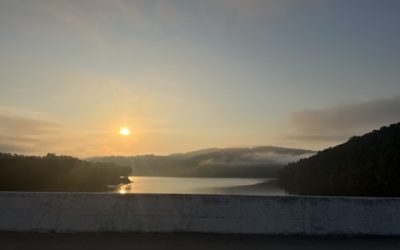 Why Summer Is the Perfect Time to Plan Your Roof Project in Knoxville, TN