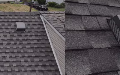 The Role of Attic Ventilation: Why It Matters More Than You Think