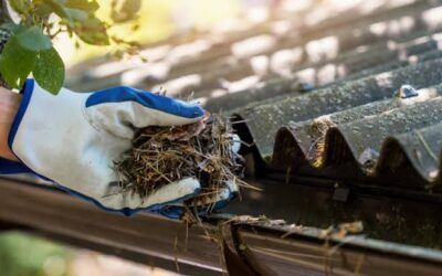 Prepare Your Home for Fall: Why September Is the Perfect Time to Check Your Roof and Gutters