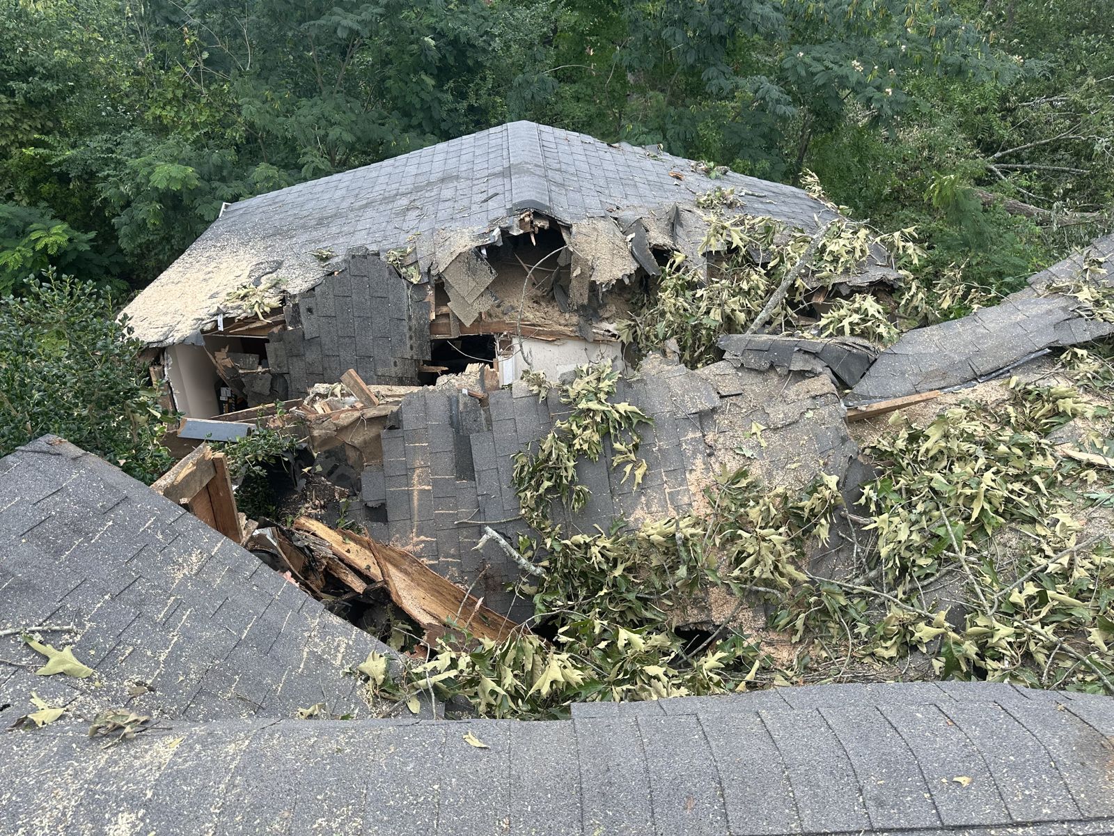Roof caved in by a fallen tree, exposing the framing and decking