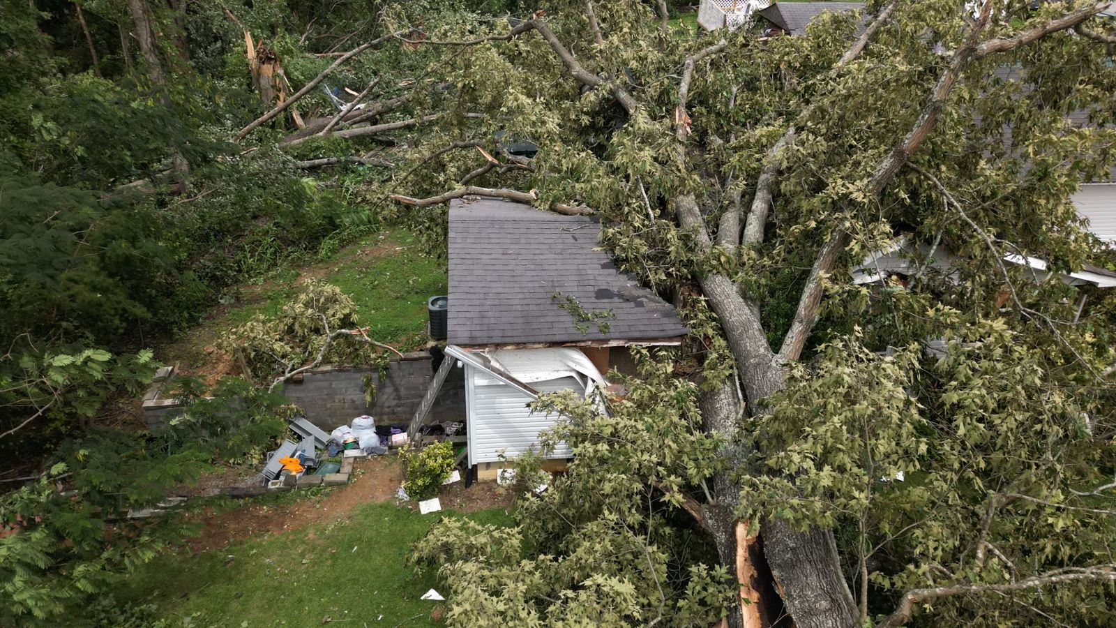 Large tree fallen across a home's roof after a storm, aerial view