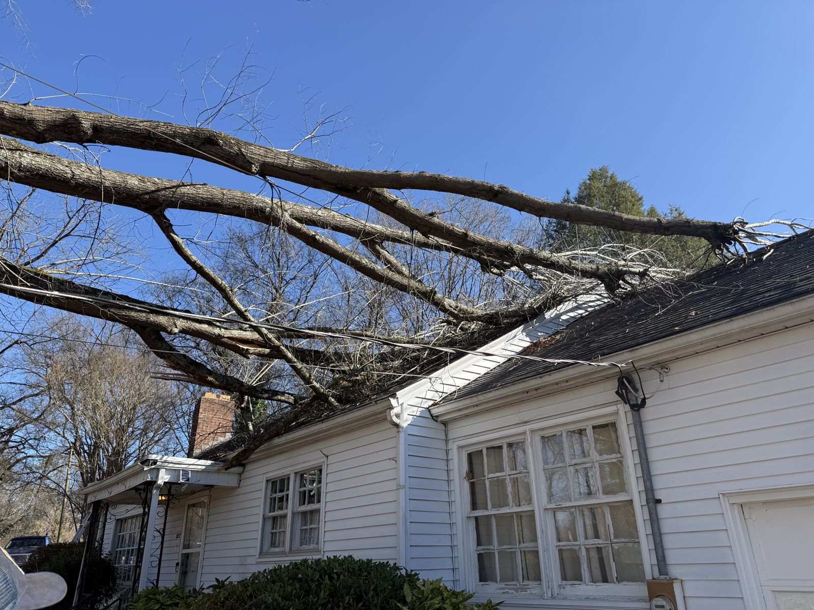 Tree limbs resting on a shingle roof after a storm, before emergency tarping